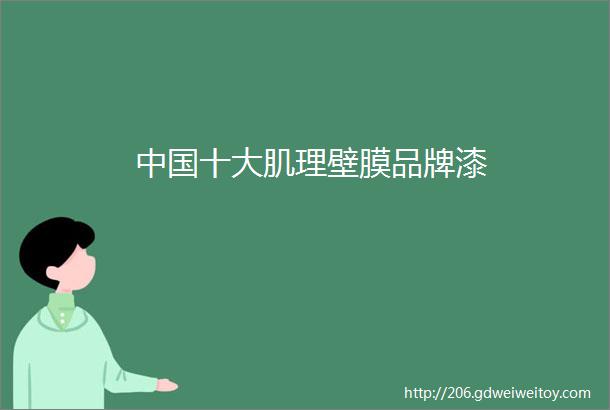 中国十大肌理壁膜品牌漆